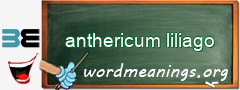 WordMeaning blackboard for anthericum liliago